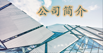 公 司 簡 介