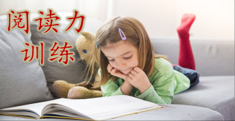 閱讀力訓練