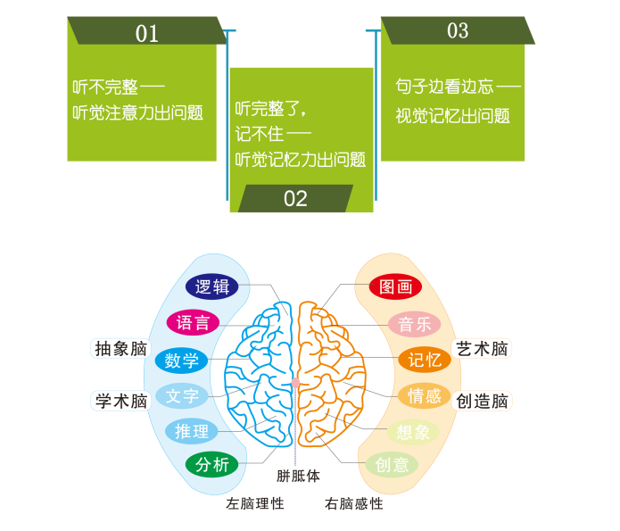 記憶力1.png 記憶力1.png