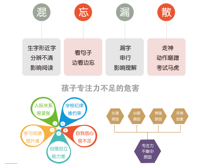 專注力1.png 專注力1.png