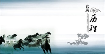 山東金芒果教育咨詢有限公司——發展歷程