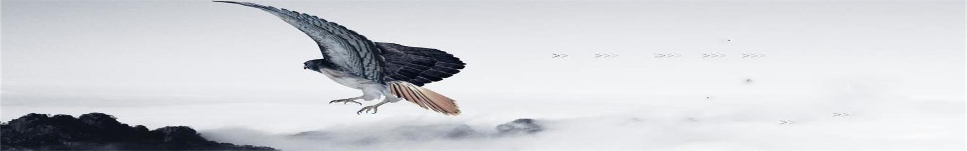 timg_看圖王.jpg timg_看圖王.jpg