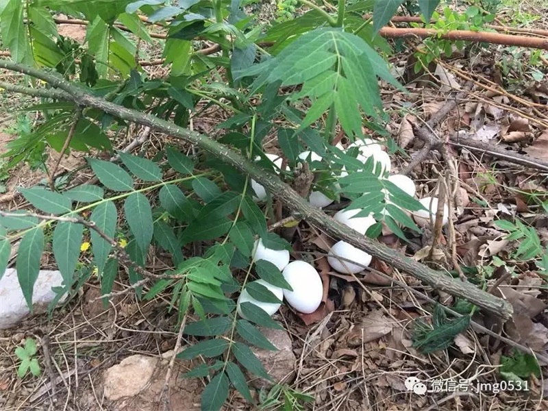 640.webp (8).jpg 640.webp (8).jpg