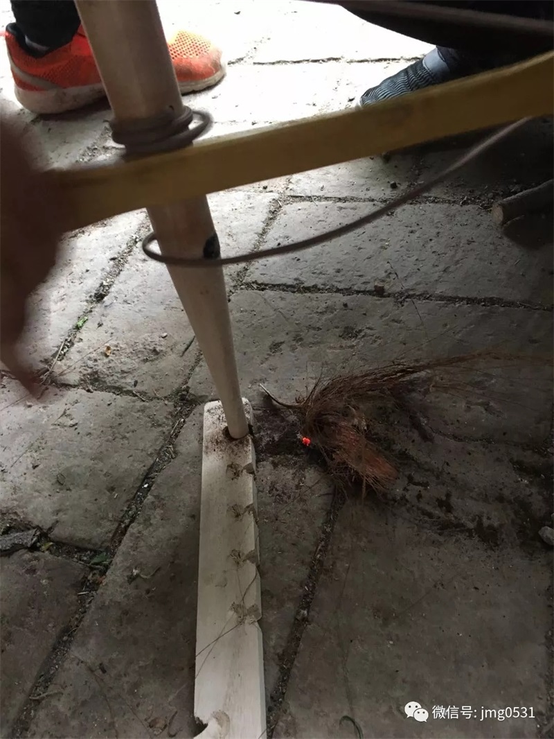 640.webp (15).jpg 640.webp (15).jpg