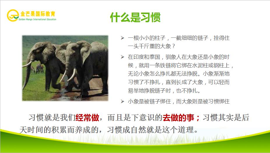 什么是習慣.jpg 什么是習慣.jpg