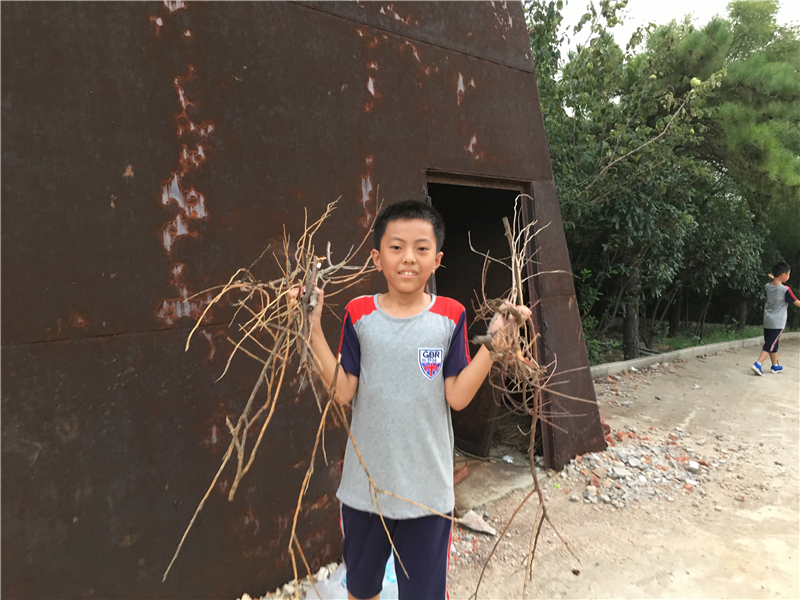 王乙淼.jpg 王乙淼.jpg