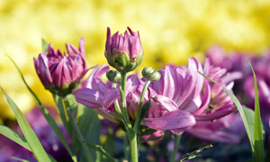 1-1ZH3163T90-L.jpg 1-1ZH3163T90-L.jpg