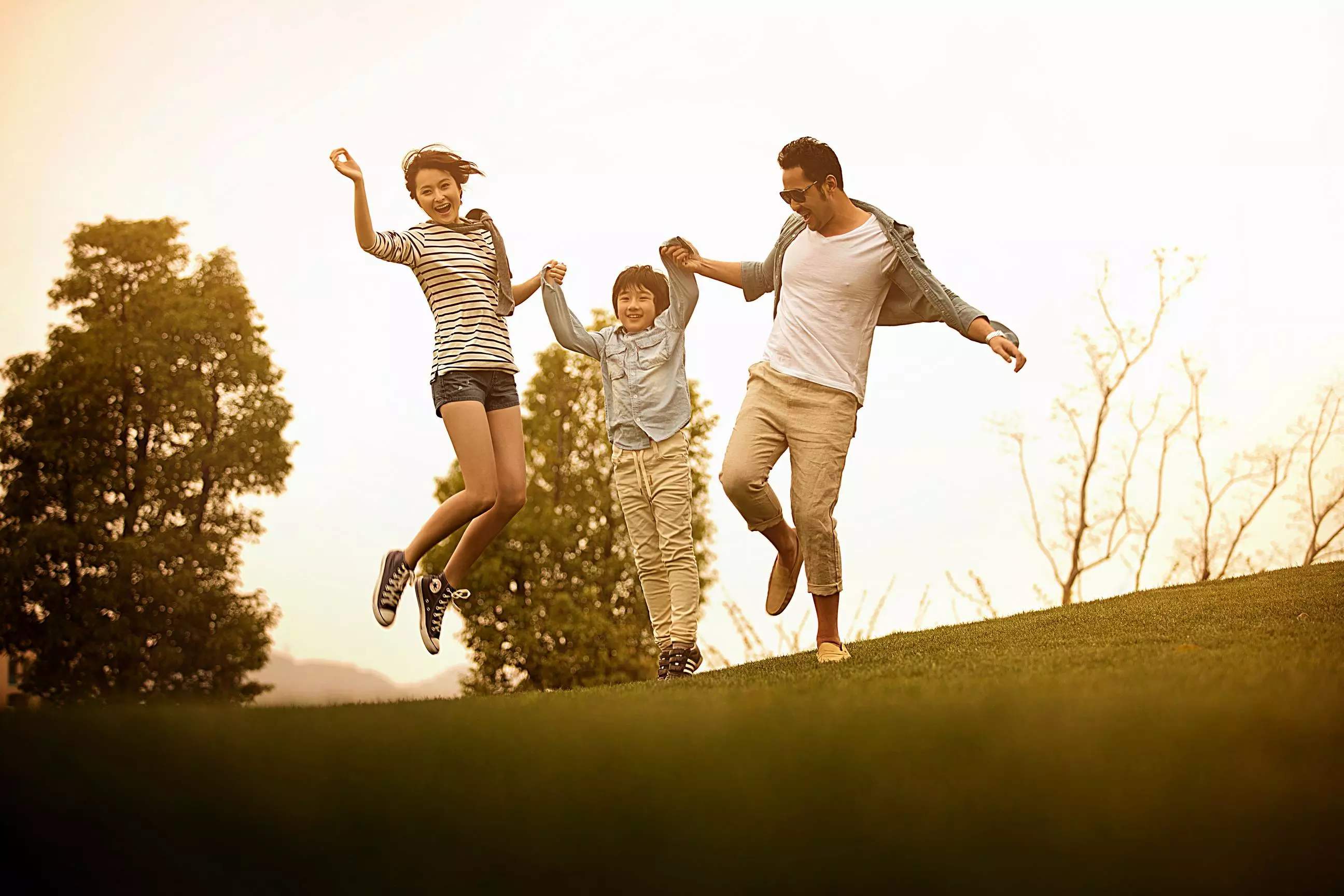 timg (8).jpg timg (8).jpg