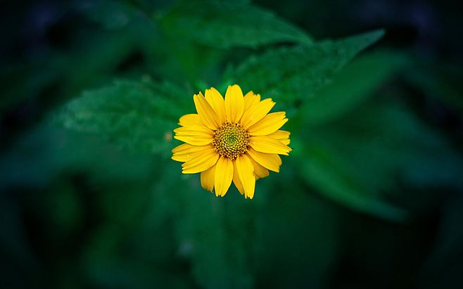 5ef71f444421488b7b51dd9def57688a03bb36574c249-ZzZIod_fw658.jpg 5ef71f444421488b7b51dd9def57688a03bb36574c249-ZzZIod_fw658.jpg