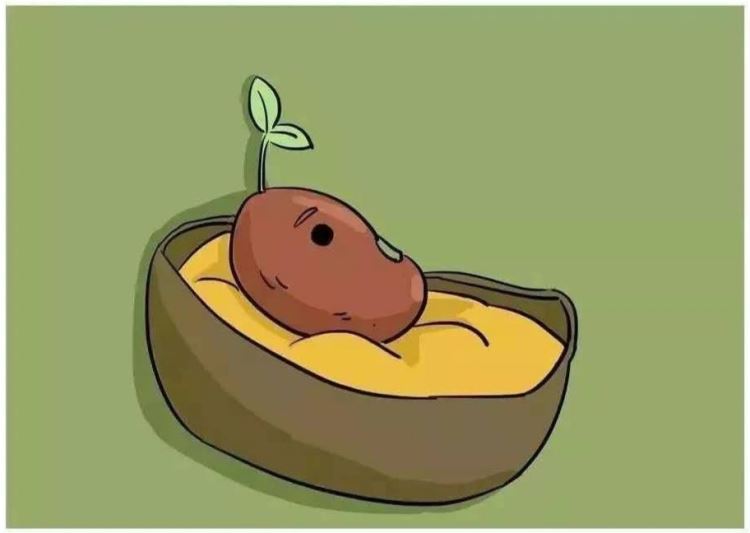 自從把小孩當植物來養后，整個人都好多了！