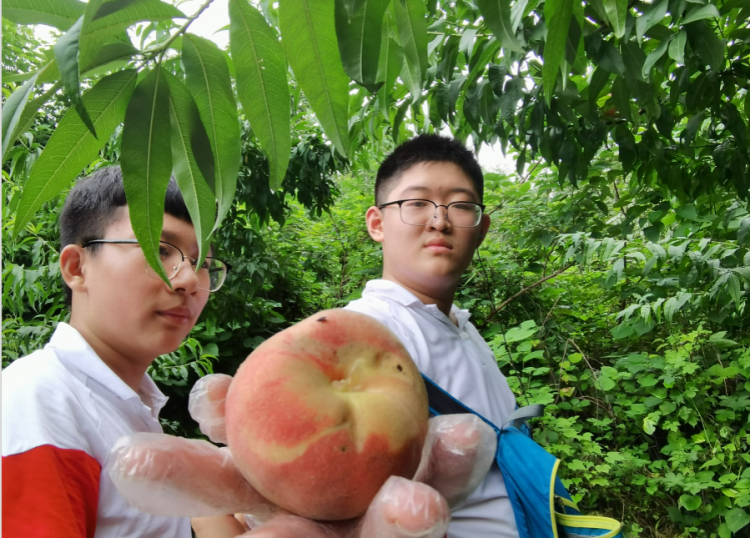 微信圖片_20201030110448.png 微信圖片_20201030110448.png