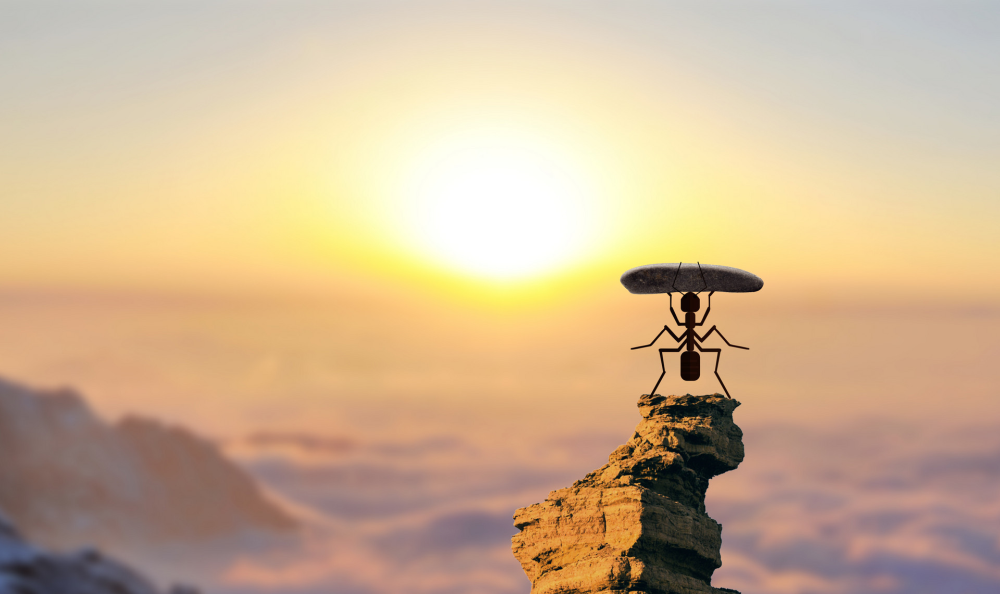 金芒果教育|孩子的自信心，來源于無數次成功的體驗