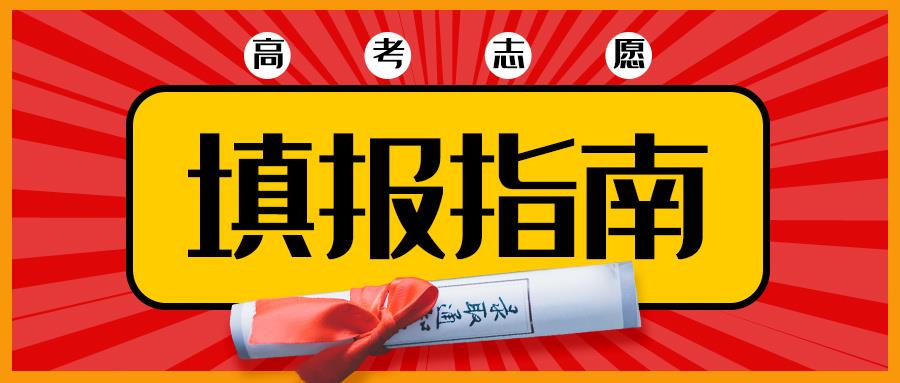 金芒果教育|分數之外，人生也有遼闊山河